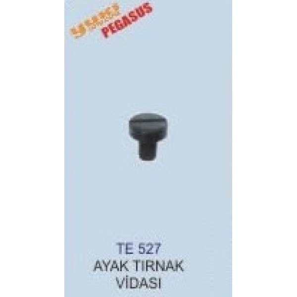 TE527 TIRNAK VİDASI AYAK ETEK REÇME PEGASUS 
